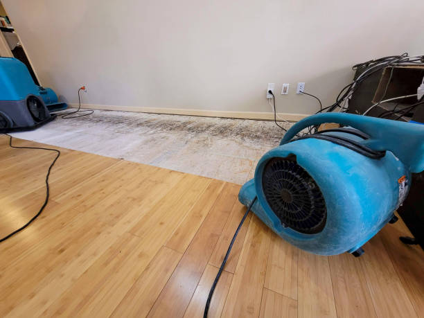 Professional Water Removal technician working in Hyde Park, UT